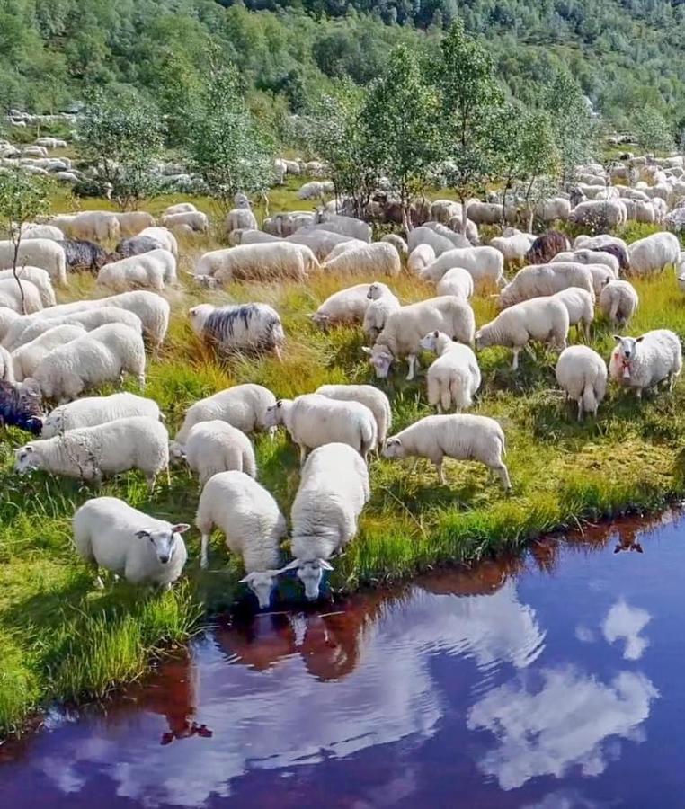 Fidjeland 69 Close To Kjerag Ngoại thất bức ảnh
